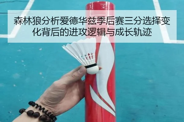 森林狼分析爱德华兹季后赛三分选择变化背后的进攻逻辑与成长轨迹